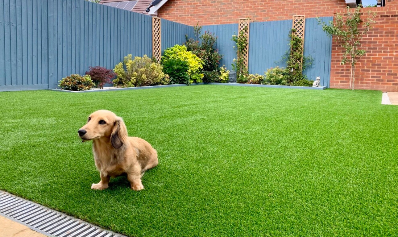 Happy dog on pet-safe artificial turf with advanced drainage in Bellevue, NE